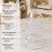 Support à gâteau en plastique PET transparent, couvercle en forme de cloche, plateau de présentation de desserts pour boulangerie, mariage, banquet