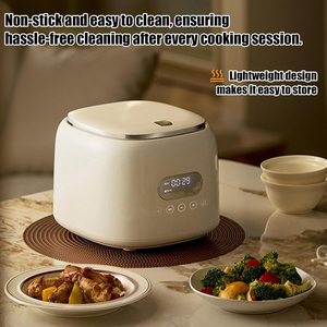 Cuisinière à riz électrique numérique multifonction de haute qualité 2,5 L avec cuve intérieure en acier inoxydable pour cuisson à faible teneur en sucre - Product Image 5