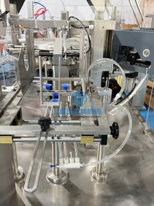 Máquina de Envasado y Llenado Automática Rotativa para Pasta de Tomate con Boquilla Preformada y Cierre de Cremallera, Certificación CE - Product Image 5