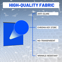 RAUBAY Schermo Blu Retrattile Personalizzabile - Sfondo Antirughe e Antiriflesso in Poliestere 200x220 cm