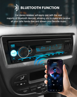 Estéreo para Auto, Reproductor MP3/WMA, Receptor de Radio para Auto con Entrada Auxiliar Frontal, Salidas RCA de Preamplificador y Control Remoto