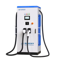 Stasiun Pengisian Daya Cepat DC Bluesky Baru Terlaris 20-120kW GB/T Dual Guns OCPP1.6J Layar 7'' IP55 TUV CE Penggunaan Komersial & Publik