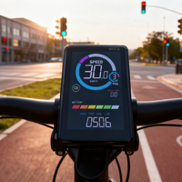 Controlador de bicicleta eléctrica de 24V/60V, limitador de velocidad Universal, Control de acelerador Simple, pantalla LCD de ordenador de Bicicleta electrónica