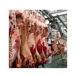 Production Manufactured Muslim Cow Slaughterhouse Equipment Machines First Complete Pig Cattle Sheep Slaughtering Line