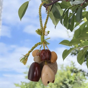 Wholesale Ethnic Handicraft Natural Fruit Shell Hanging Charm <b>Wind</b> <b>Chime</b> For Decorating - Product Image 5