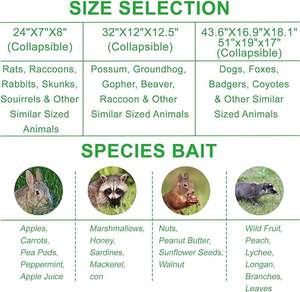 Souris/rongeur animal de compagnie sûr (chien/chat) meilleur piège à souris intérieur/extérieur non tueur petite taupe capture Cage - Product Image 5