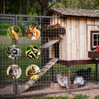 Grillage soudé galvanisé à chaud, antirouille, pour élevages avicoles et clôtures de jardin