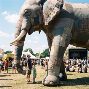 Mascotte géante gonflable en forme d'éléphant, PVC de qualité commerciale, décoration animale gonflable publicitaire pour la promotion des zoos - Product Image 5