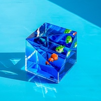 Logo personnalisé 3D résine poisson flotteur acrylique carré boule à neige 65mm liquide eau huile cubique presse-papiers bureau ornement décor cadeaux