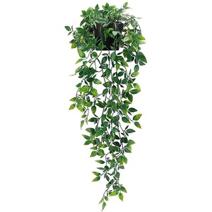 Plantes artificielles suspendues pour la forêt, 80 cm, feuilles d'eucalyptus en plastique, décorations intérieures et extérieures - Product Image 4