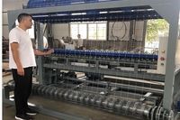 Filet de bétail de maille 10cm avec le système de clôture électrique pour le filet de clôture d'équipement agricole de bâtiments de jardin
