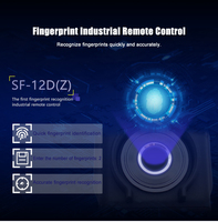 Control Remoto Inalámbrico para Grúa Hidráulica de Doble Velocidad con 12 Botones y Protección IP66