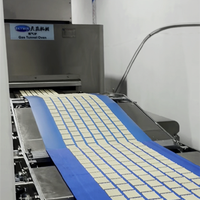 Four à Tunnel Électrique/Gaz 2026 à Faible Coût pour Boulangerie de Biscuits et de Cookies, Idéal pour les Entreprises