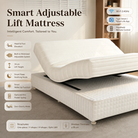 King-Size-Bett Tuya Airbag-Massage Smart-Matratze WLAN-App Fernbedienung Lendenwirbelstütze Taschenfederkern-Bett
