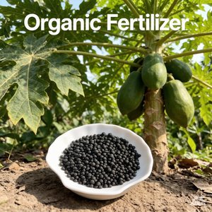 <span class=keywords><strong>Engrais</strong></span> organique à libération lente NPK et oligo-éléments <span class=keywords><strong>pour</strong></span> le conditionnement du sol des palmiers à papaye - Product Image 2