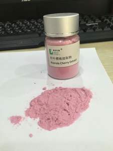 Puur Natuurlijk Acerola <span class=keywords><strong>Extract</strong></span> 1Kg Acerola Kersenpoeder Prijs - Product Image 6