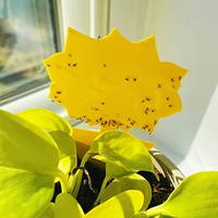 Plaques collantes épaisses et irrégulières personnalisées pour insectes, adhésif haute adhérence longue durée pour le jardinage biologique et l'hydroponie