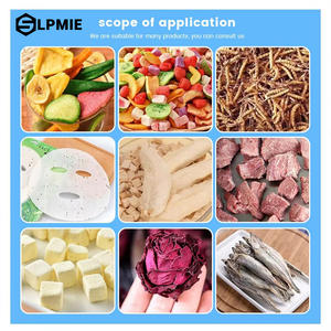 <span class=keywords><strong>Pompe</strong></span> à vide lyophilisatrice entièrement automatique SUS316L, composants à engrenages, pour la transformation alimentaire, fruits et jus, prix compétitif - Product Image 5