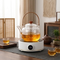 Mini-cuiseur électrique portable en céramique à chauffage par serpentin pour voiture et extérieur, avec commande par bouton et arrêt automatique, pour usage domestique et économe en énergie