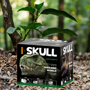 Kit de excavación de calavera de dinosaurio 6 Kit de excavación surtido Juguete - Product Image 1