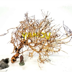 ไม้ตกแต่งตู้ปลา ต้นไม้ลอยน้ำ ประเทศไทย - Product Image 2