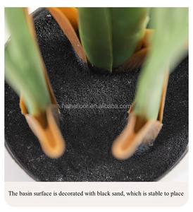 Sıcak satış yeni yapay yeşil kuş cennet ağacı gezgin muz saksı plastik düğün bitki - Product Image 4