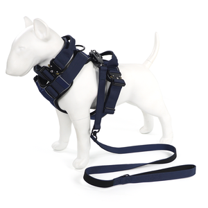 Arnés para perros con logotipo personalizado, juego de correas, accesorios para mascotas para perros medianos y grandes - Product Image 6