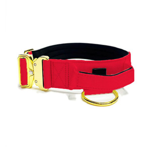 Özel toptan 2 inç ayarlanabilir köpek tasması taktik naylon yastıklı yaka büyük köpekler için lüks altın Metal toka ile - Product Image 3