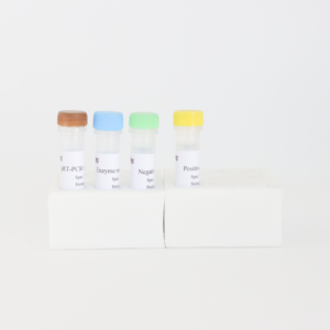 OIE-검증 된 아프리카 말 질병 바이러스 실시간 RT-PCR 키트 50 테스트 CE-IVD 및 ISO 13485 인증 | 프로브 기반 탐지