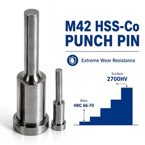 M42 hss-Co 1.3247หมุดเจาะขึ้นรูปเย็น2700HV เคลือบ ticn ที่เจาะรูความแข็งสูงสำหรับงานหนัก - Product Image 2