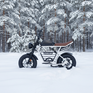 Nuevo Modelo de Bicicleta con Llantas Anchas, Personalizada, para Adultos, de Alta Velocidad, Económica, de Largo Alcance, Estilo Retro, Lista para Enviar, OEM, Bicicleta Eléctrica Deportiva - Product Image 1