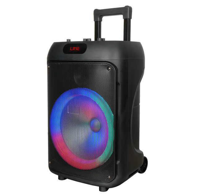 Best 30W Karaoke Trolley Speaker with 12 Inch Subwoofer Wireless Party Speaker with Mic High Quality Portable Wireless Speakers