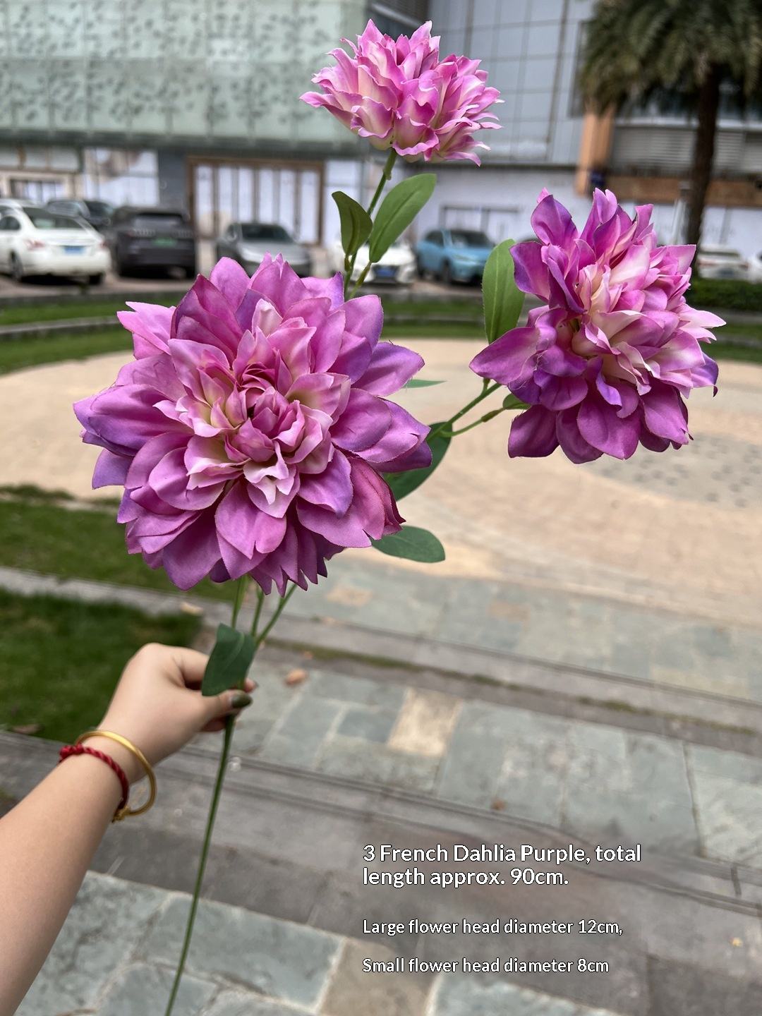 สีชมพูบานเย็น