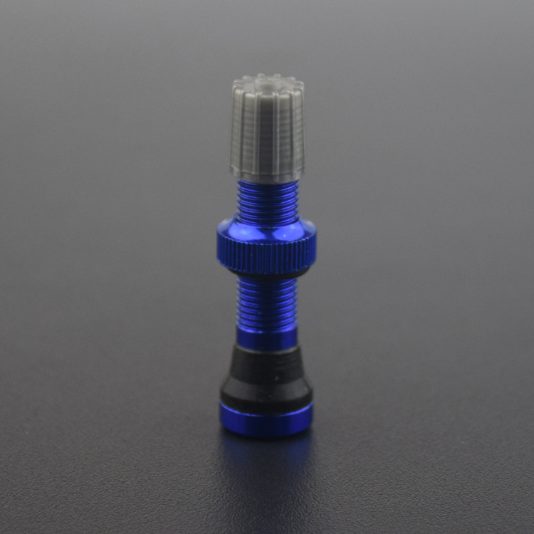 Corpo principale 44mm blu