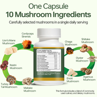Capsules de complexe de champignons OEM : Crinière de lion, Reishi, Cordyceps, Queue de dinde – Soutien immunitaire, concentration quotidienne et bien-être