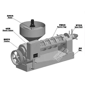 Hoge Kwaliteit Basilicum Olie Zonnebloemzaad Olie Persmachine Productielijn Industriële Palmolie Persmachine