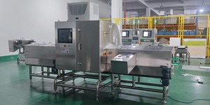 เครื่องตรวจสอบระดับของเหลวด้วยรังสีเอ็กซ์สำหรับอาหารกระป๋อง |   เครื่องตรวจจับระดับการบรรจุในกระป๋องโลหะและแก้ว - Product Image 6