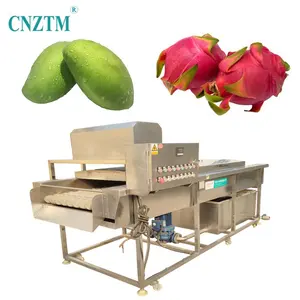 Commerciële Automatische Cleaner Washer Machines Wortel Groenten En Fruit Citroen Dragon Fruit Borstelen Wasmachine Lijn