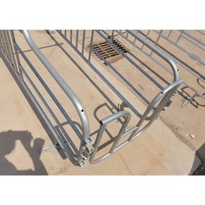 Fournisseur chinois d'équipements agricoles avec mangeoires individuelles, cages de gestation pour porcs - Product Image 4