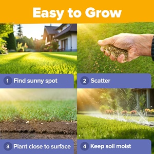 25 gói Hoa Dại lâu năm hấp dẫn cho vườn ngoài trời bướm và chim thu hút hoa trong chậu - Product Image 4