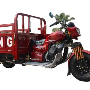 250cc triciclo hàng hóa động cơ ba bánh 1.4x2.4m 3 bánh xe gắn máy điện Trike 5.00-12 lốp hàng hóa đổ tuktuk mototaxi