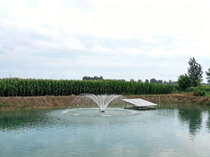 Aérateur solaire flottant, oxygénateur silencieux en acier inoxydable pour bassin de poissons et rivière, machine d'aération solaire hors réseau - Product Image 2