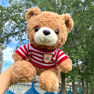Edredón de oso de peluche personalizado de felpa súper suave con tamaño de relleno de algodón PP decoración de fiesta de cumpleaños diseño Unisex - Product Image 1