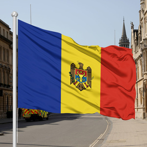 <span class=keywords><strong>Bandera</strong></span> moldava personalizada de 3x5 pies, color vivo y poliéster 100% a prueba de decoloración para eventos deportivos importantes y Congresos de todos los países - Product Image 2