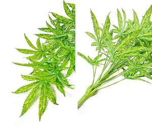 Bonsái de Hojas de Cáñamo Artificiales, Hojas de <span class=keywords><strong>Arce</strong></span> Artificiales en Maceta, Planta Artificial para Decoración de Sala de Estar, Oficina, Escalera, Balcón - Product Image 4