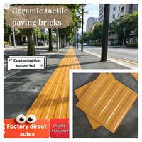 3030 20mm Épaisseur, Carrelage Tactile Antidérapant et Résistant à l'Usure pour Allées Extérieures, Tuile Indicatrice en Céramique