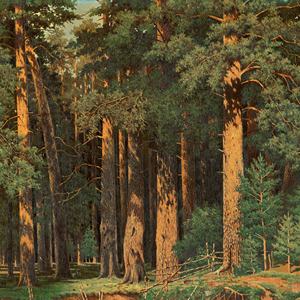 Reproducción del Cuadro Bosque de <span class=keywords><strong>Ivan</strong></span> Ivanovich Shishkin, Impresión en Lienzo de Alta Resolución 800dpi, Ecológica, Resistente a los Rayos UV, Estilo Art Deco - Product Image 3
