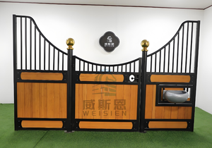 דוכני רכיבה על סוסים יוקרה עם מסגרת ציפוי אבקה עמיד בפני ליה עשוי בסין - Product Image 6