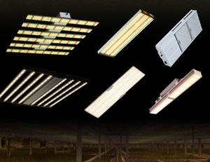 Luz de crecimiento de plantas de placa cuántica LED de espectro completo Marco de piso de invernadero cuadrado Luz de relleno de plantación de vegetales - Product Image 4