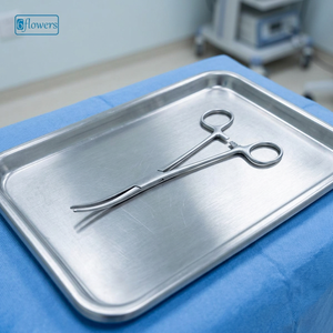 Pinces hémostatiques Rochester professionnelles en acier inoxydable, instrument chirurgical manuel pour chirurgie générale, classe I, certifié CE - Product Image 2